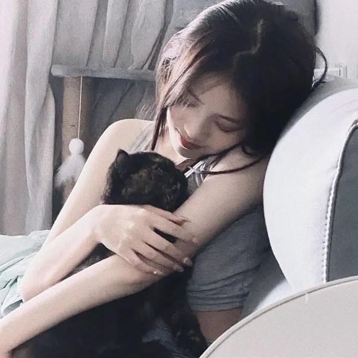 代号美洲豹